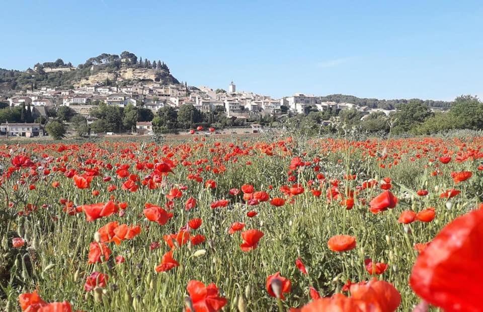 L'Amanderaie Piscine Privee A Cote De Lourmarin Luberon Apartment Кадене Екстериор снимка