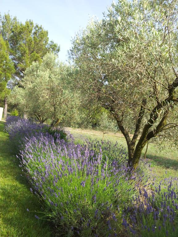 L'Amanderaie Piscine Privee A Cote De Lourmarin Luberon Apartment Кадене Стая снимка